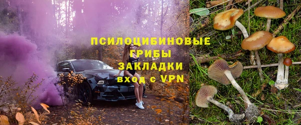героин Алексин