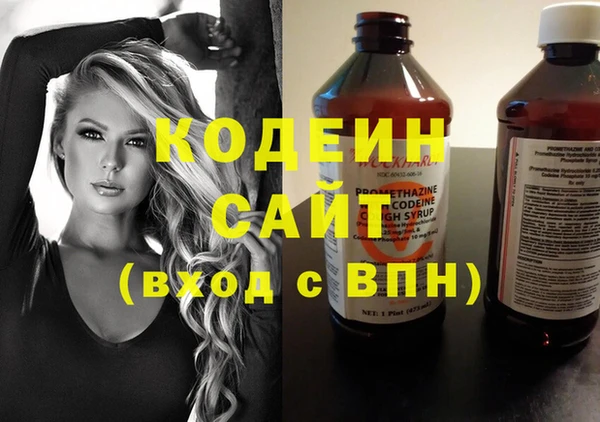 шишки Алагир