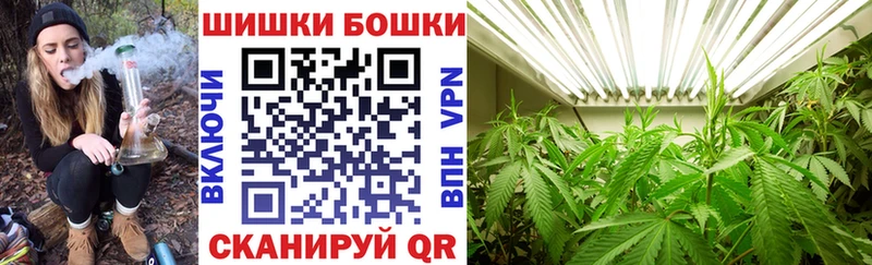 блэк спрут зеркало  Жиздра  darknet клад  Каннабис White Widow 